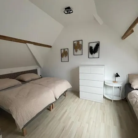 Freigeist Zeitraum Haßloch