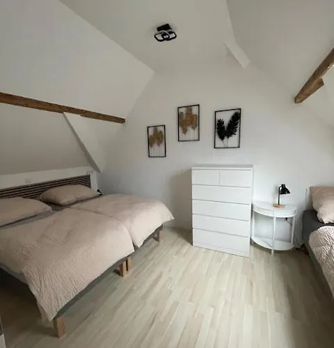 Freigeist Zeitraum Haßloch